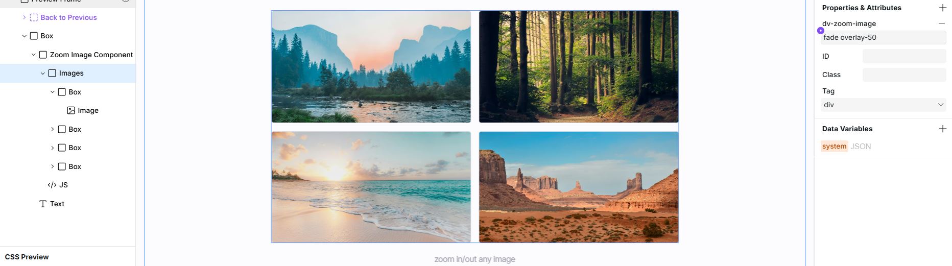 zoom image attributes